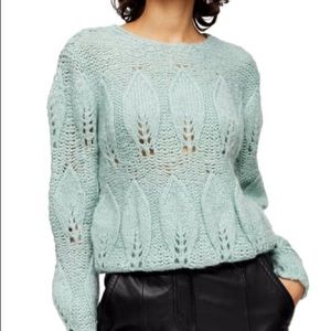 TOPSHOP Knitted Petal Gauzy Pointelle Sweater